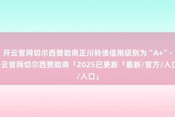 开云官网切尔西赞助商正川转债信用级别为“A+”-开云官网切尔西赞助商「2025已更新「最新/官方/入口」