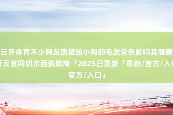 云开体育不少网友质疑给小狗的毛发染色影响其健康-开云官网切尔西赞助商「2025已更新「最新/官方/入口」